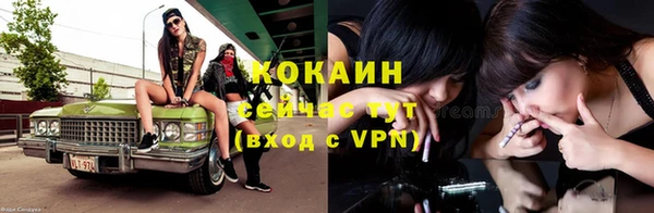 ПСИЛОЦИБИНОВЫЕ ГРИБЫ Белокуриха
