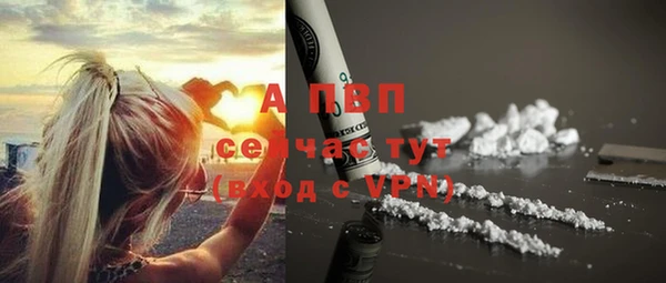 ГАЛЛЮЦИНОГЕННЫЕ ГРИБЫ Беломорск