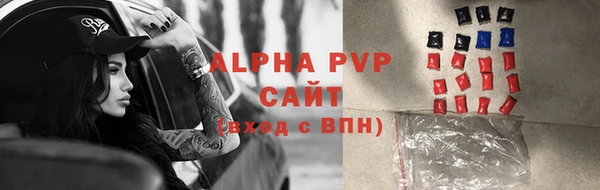 ПСИЛОЦИБИНОВЫЕ ГРИБЫ Белокуриха