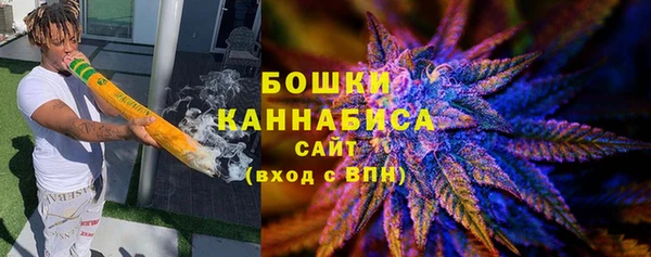 ПСИЛОЦИБИНОВЫЕ ГРИБЫ Белокуриха