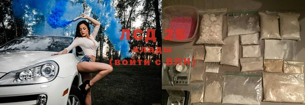 ПСИЛОЦИБИНОВЫЕ ГРИБЫ Белокуриха