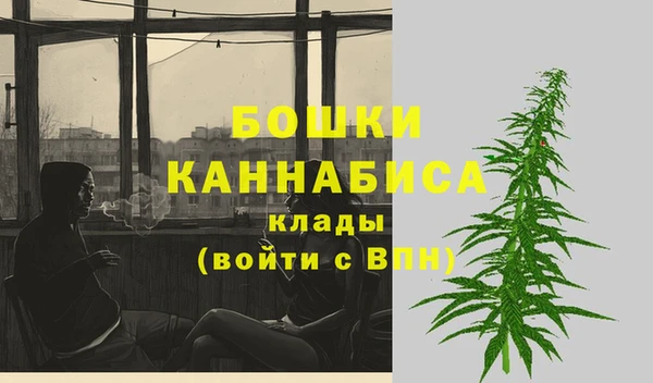 ПСИЛОЦИБИНОВЫЕ ГРИБЫ Белокуриха